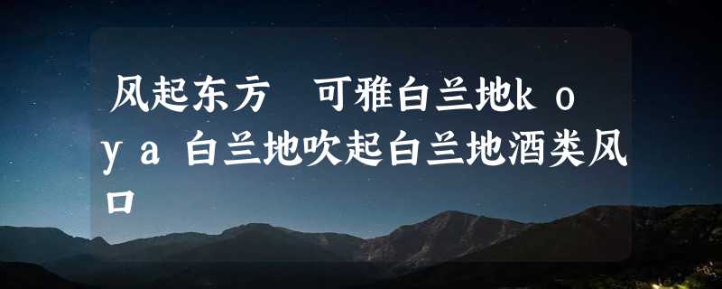 风起东方 可雅白兰地koya白兰地吹起白兰地酒类风口