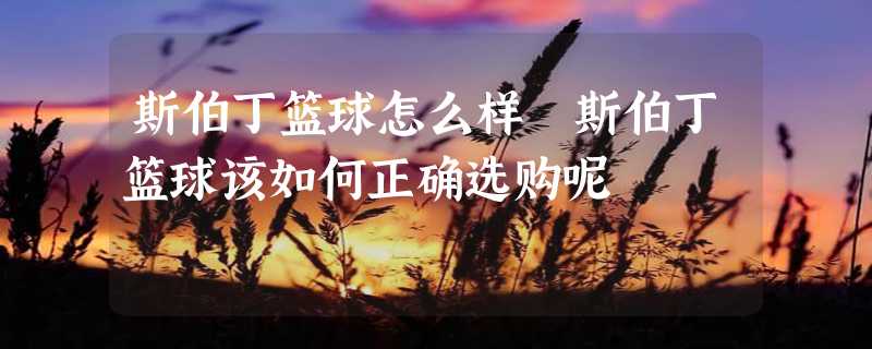 斯伯丁篮球怎么样 斯伯丁篮球该如何正确选购呢