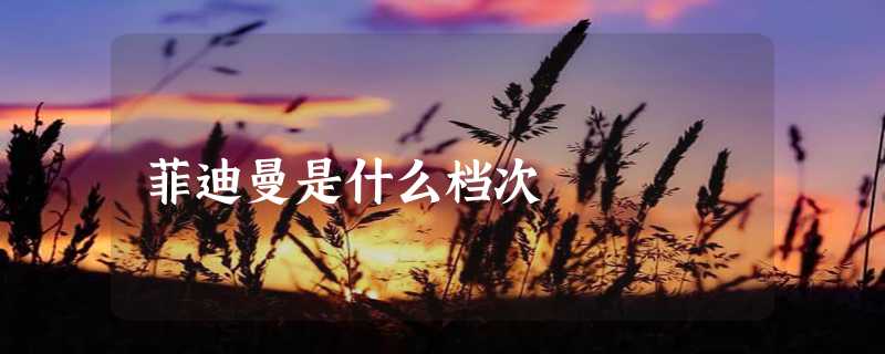 菲迪曼是什么档次