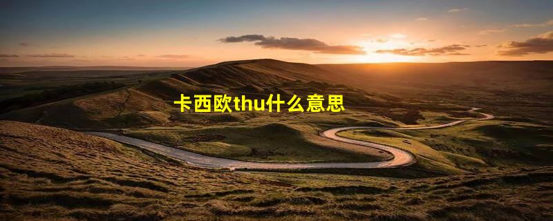 卡西欧thu什么意思