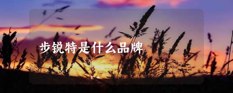 步锐特是什么品牌