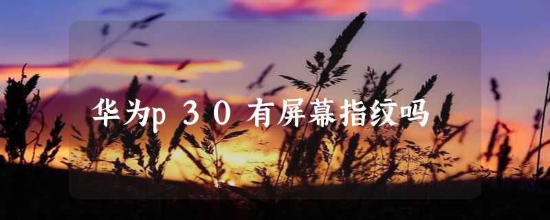 华为p30有屏幕指纹吗