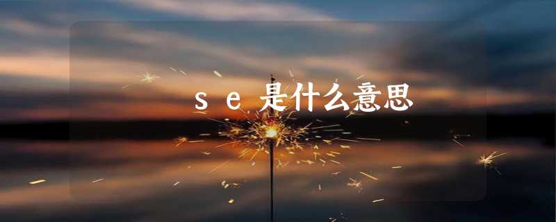 se是什么意思