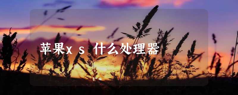 苹果xs什么处理器