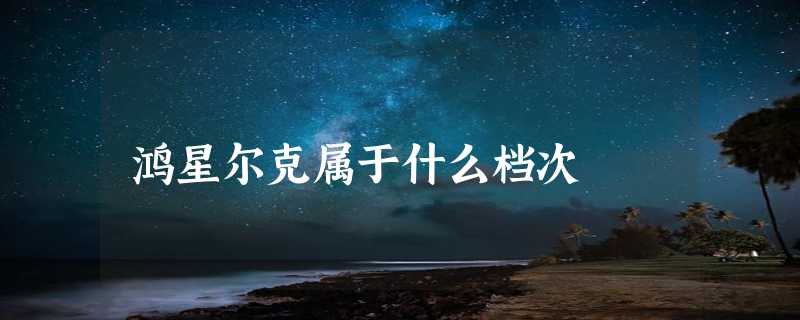 鸿星尔克属于什么档次