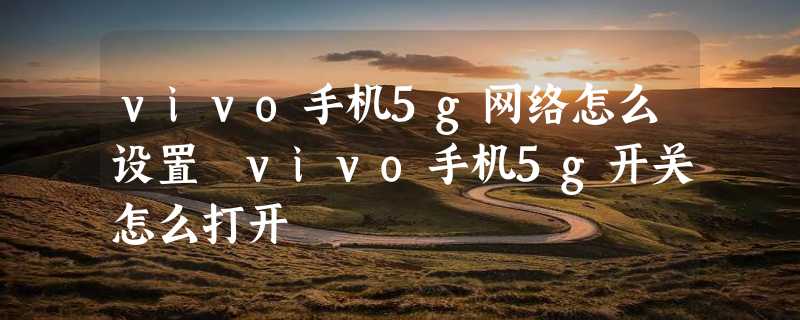 vivo手机5g网络怎么设置 vivo手机5g开关怎么打开