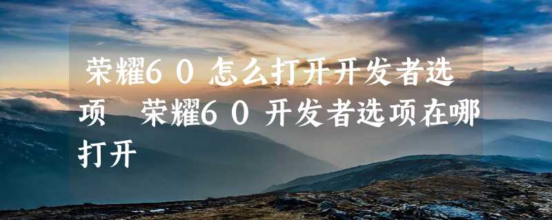 荣耀60怎么打开开发者选项 荣耀60开发者选项在哪打开