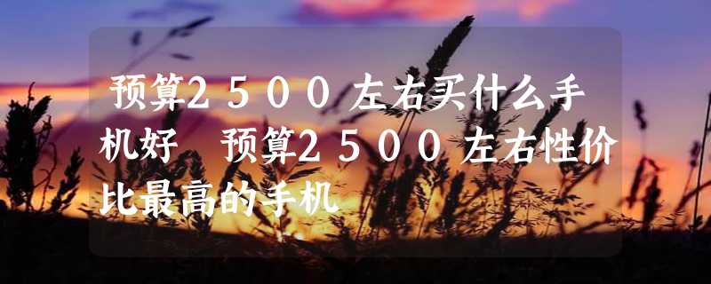 预算2500左右买什么手机好 预算2500左右性价比最高的手机