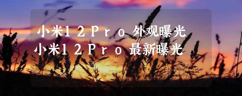 小米12Pro外观曝光 小米12Pro最新曝光