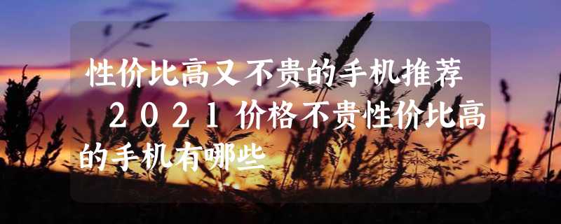 性价比高又不贵的手机推荐 2021价格不贵性价比高的手机有哪些