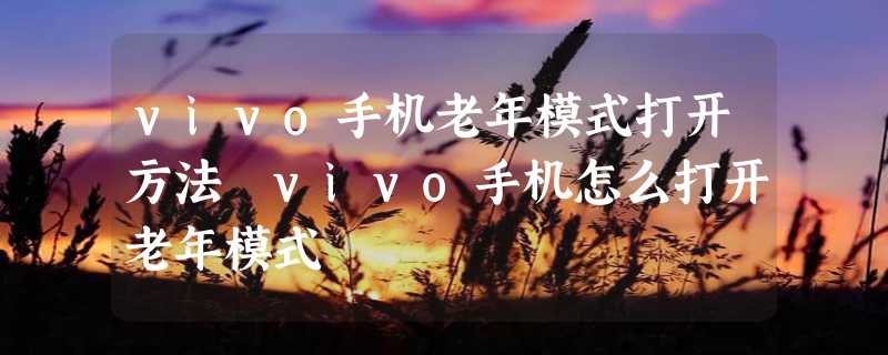 vivo手机老年模式打开方法 vivo手机怎么打开老年模式