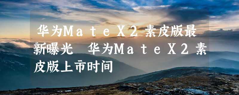 华为MateX2素皮版最新曝光 华为MateX2素皮版上市时间