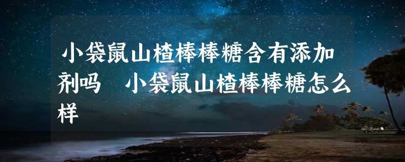 小袋鼠山楂棒棒糖含有添加剂吗 小袋鼠山楂棒棒糖怎么样