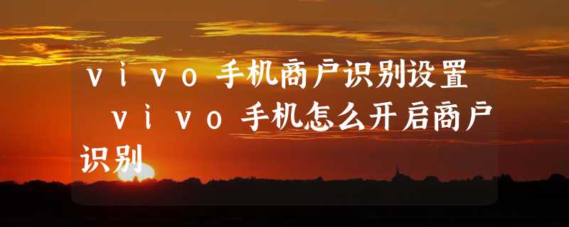 vivo手机商户识别设置 vivo手机怎么开启商户识别