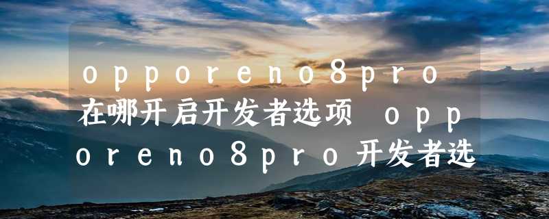 opporeno8pro在哪开启开发者选项 opporeno8pro开发者选项怎么开