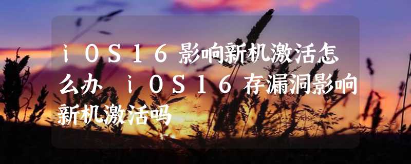 iOS16影响新机激活怎么办 iOS16存漏洞影响新机激活吗