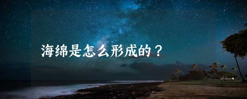 海绵是怎么形成的？