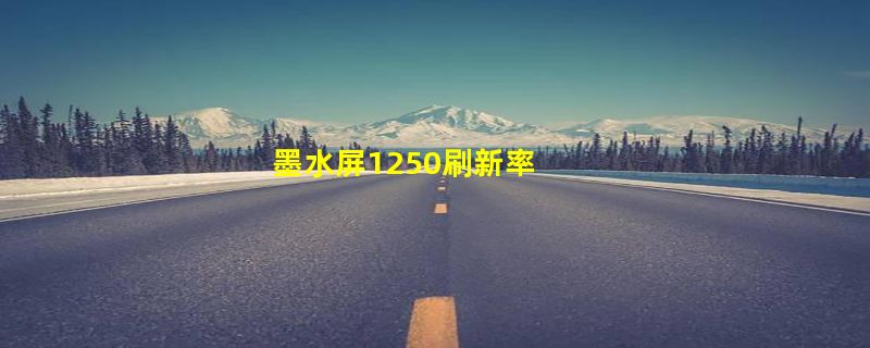 墨水屏1250刷新率