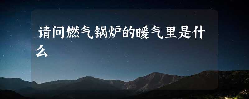 请问燃气锅炉的暖气里是什么