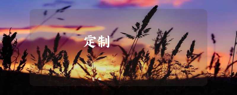 定制