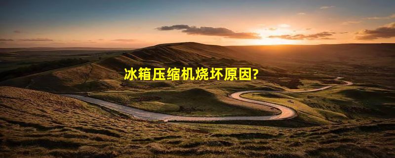 冰箱压缩机烧坏原因?