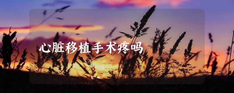 心脏移植手术疼吗