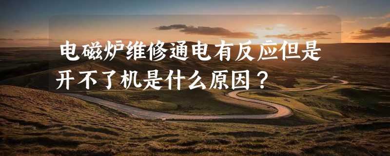 电磁炉维修通电有反应但是开不了机是什么原因？