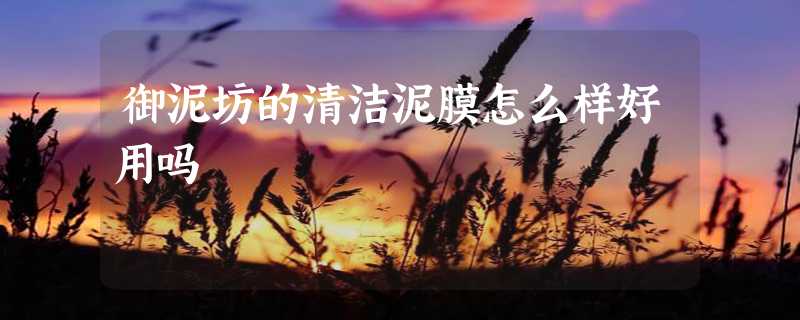 御泥坊的清洁泥膜怎么样好用吗