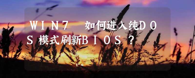 WIN7 如何进入纯DOS模式刷新BIOS？