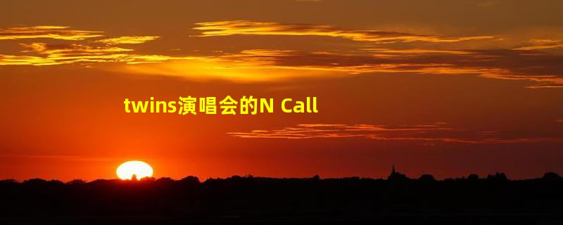 twins演唱会的N Call是什么意思