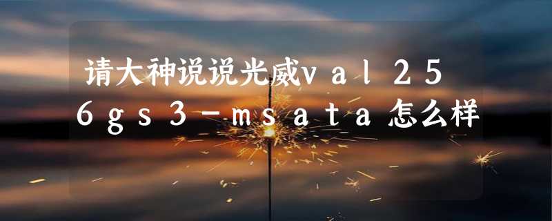 请大神说说光威val256gs3-msata怎么样