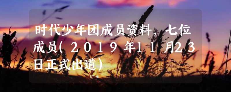 时代少年团成员资料，七位成员(2019年11月23日正式出道)