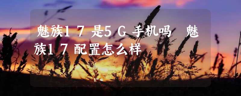 魅族17是5G手机吗 魅族17配置怎么样