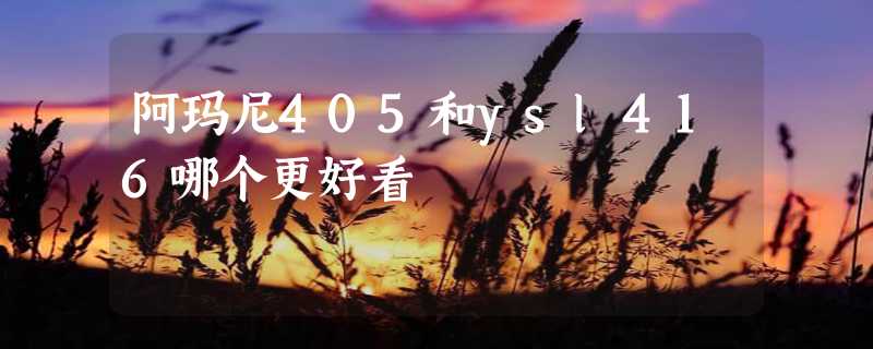 阿玛尼405和ysl416哪个更好看