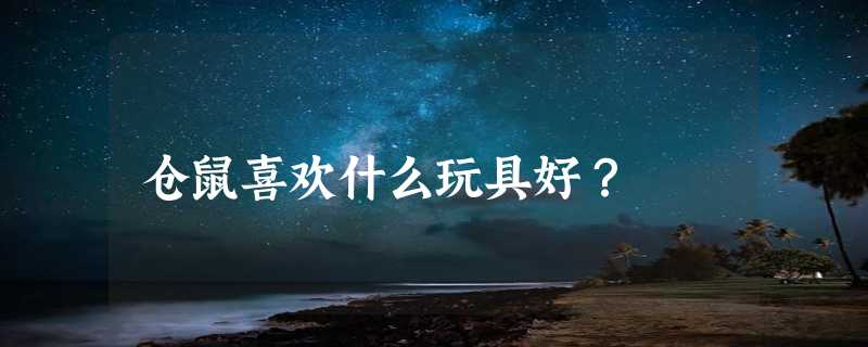 仓鼠喜欢什么玩具好？