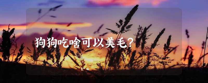 狗狗吃啥可以美毛?