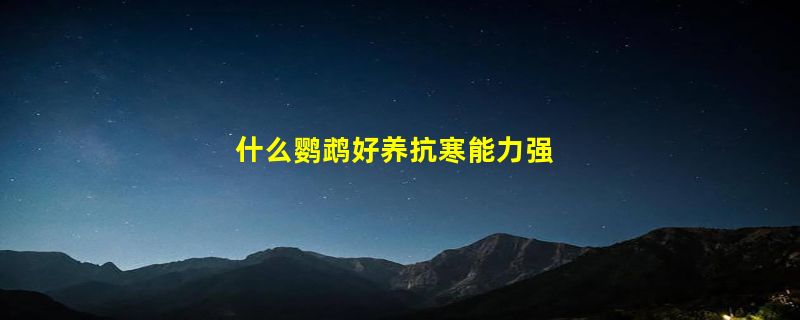 什么鹦鹉好养抗寒能力强