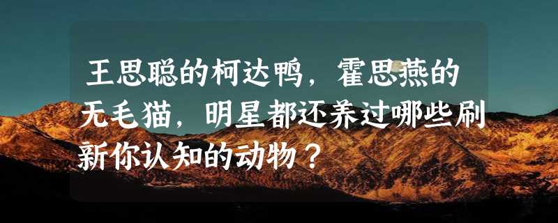 王思聪的柯达鸭，霍思燕的无毛猫，明星都还养过哪些刷新你认知的动物？