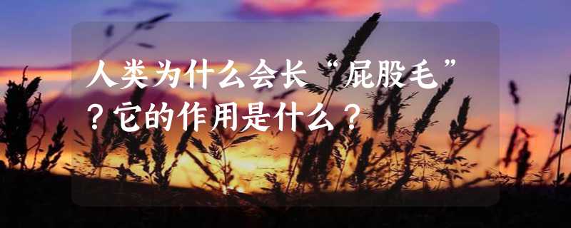 人类为什么会长“屁股毛”？它的作用是什么？