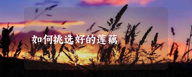 如何挑选好的莲藕