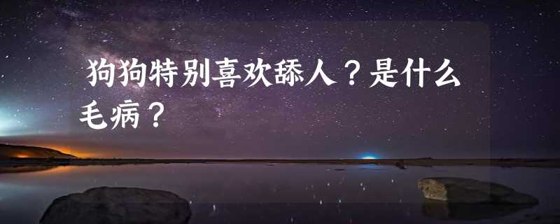 狗狗特别喜欢舔人？是什么毛病？