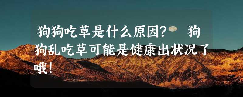 狗狗吃草是什么原因? 狗狗乱吃草可能是健康出状况了哦！