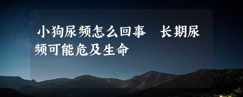 小狗尿频怎么回事 长期尿频可能危及生命