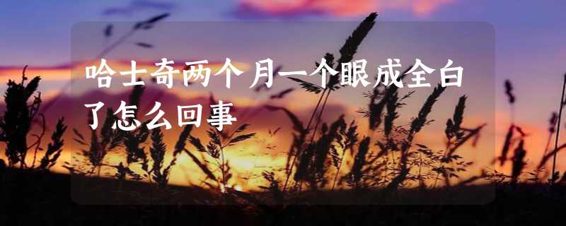 哈士奇两个月一个眼成全白了怎么回事