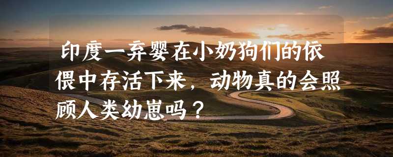 印度一弃婴在小奶狗们的依偎中存活下来，动物真的会照顾人类幼崽吗？