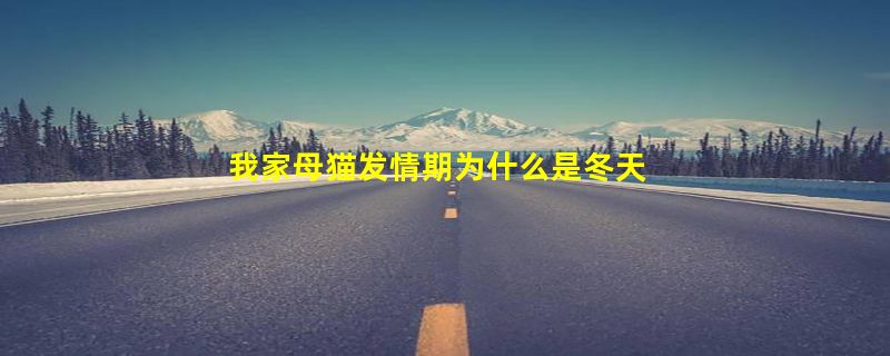 我家母猫发情期为什么是冬天