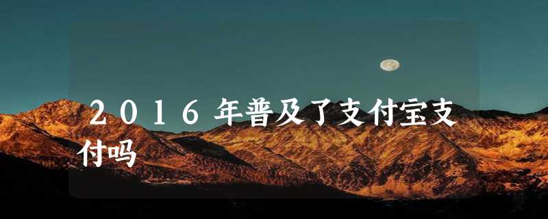 2016年普及了支付宝支付吗