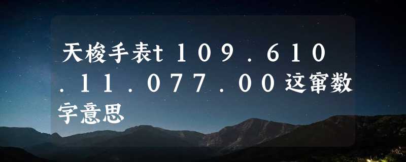 天梭手表t109.610.11.077.00这窜数字意思