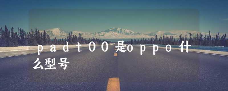 padt00是oppo什么型号