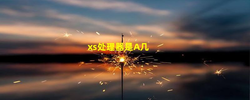 xs处理器是A几